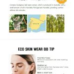 the-SAEM-Eco-Soul-Skin-Wear-BB-shopandshop-3